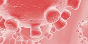 Notes web Servei de Salut Ambiental – Coronavirus i legionel·la –