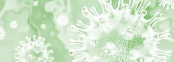 Coronavirus SARS-CoV-2 Informació per a Professionals Prevenció i control de la legionel·losi