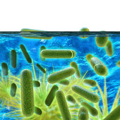 Curso Homologado de Prevención de la Legionella del 5 al 9 de octubre 2020 en Terrassa